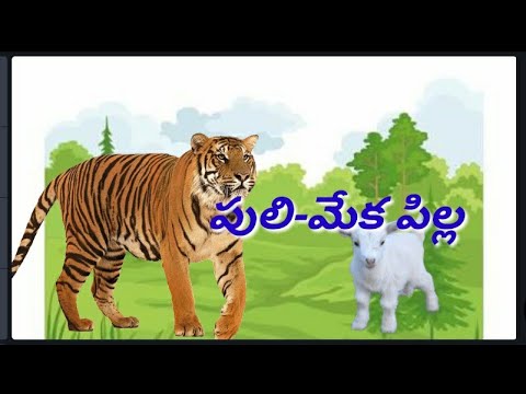 Puli - meka pilla katha - పులి - మేకపిల్ల కథ - audio stories