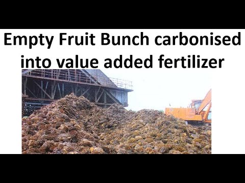 image-What is empty fruit bunch (EFB)?