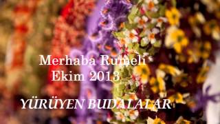 024 Aksadeler Giyer Boylu Boyunca (Güzin Değişmez)