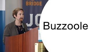 From Vesuvio to Silicon Valley and back 2014 - Buzzoole