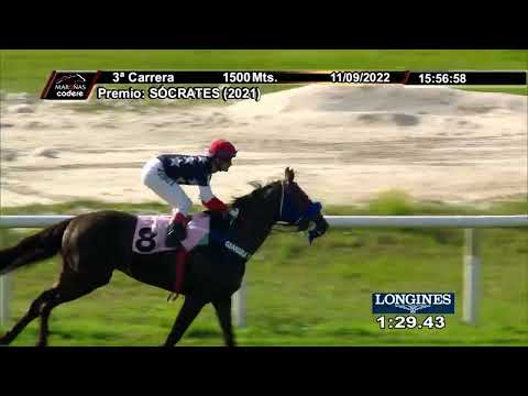 220911 c03 HAPPY ENDING (BRZ)