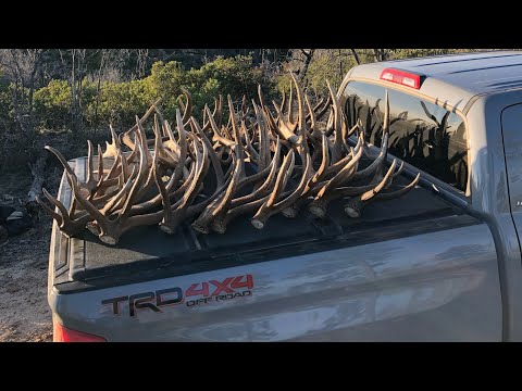 download lagu mp3 mp4 Wmat, download lagu Wmat gratis, unduh video klip Wmat