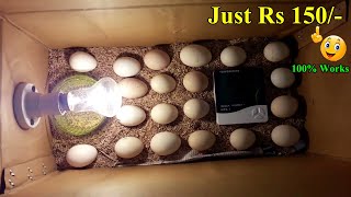 BEST DIY HOMEMADE INCUBATOR FOR CHICKEN EGGS | HATCHING EGGS IN CARDBOARD BOX | YOU CAN DO THIS