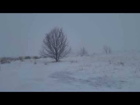 colorado springs winter storm blizzard conditions 3-14-2021.