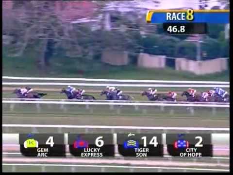 20110129 IPOH CLASS 5 1800M (SC) TIGER SON (K Yazid)