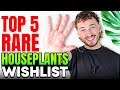Top 5 Rare Houseplants On My Wishlist Dream Plants I NEED In 2026