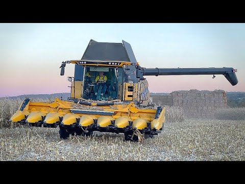 Sklizeň Kukuřice 2021 | Maize Harvest | New Holland CR 9.80 & John Deere 7920 & New Holland T7.290