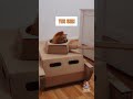 Dusty Dubs Cat Compilation 3