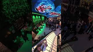 Wait… this is actually a cruise ship?! 🤯✨