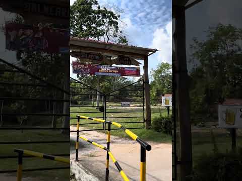 Sabana de Torres Santander - Lugar de mágicos momentos💫 #sabanasetorresaantander #turismo #colombia