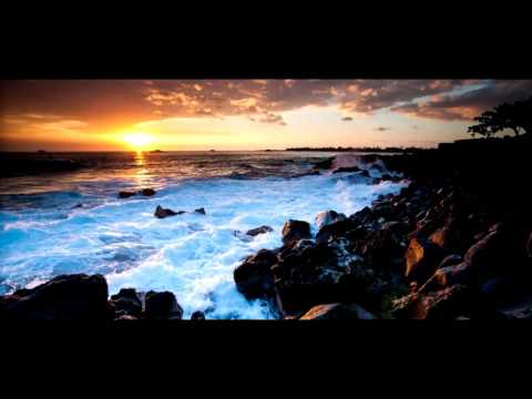 ES Jamaican Wood   Stefan Netsman