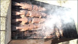Ловля рыбы тралом на реке