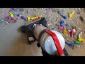Bissell Helix Mess Test Dyson Clean Up For Morgan