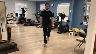Single Leg Stance with Shoulder Press