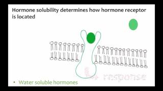 Homeostasis, Hormones and Feedback Control