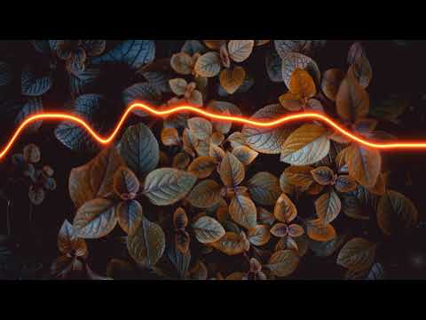 Pista Instrumental Estilo Kimiko y Yordy "Mi Negrita" 2021 ❌ DJ K11