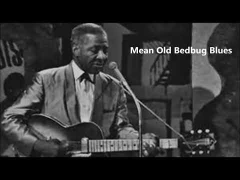 Lonnie Johnson-Mean Old Bedbug Blues