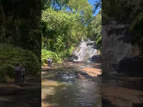 Ribeirão Claro pr