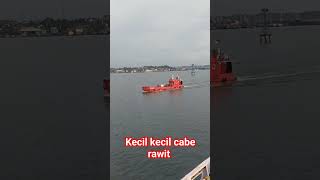 Download lagu story WA pelaut #ibuakurindu #kapalferry #shortviral #fyp mp3 Download lagu story WA pelaut #ibuakurindu #kapalferry #shortviral #fyp mp3