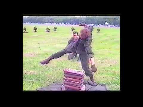 Jak ptaki na niebie '95