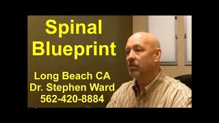 Spinal Blueprint | Long Beach | 562-420-8884 | Psychogenetics