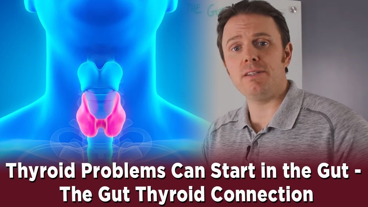 Thyroid Problems Can Start in the Gut - The Gut Thyroid Connection - YouTube