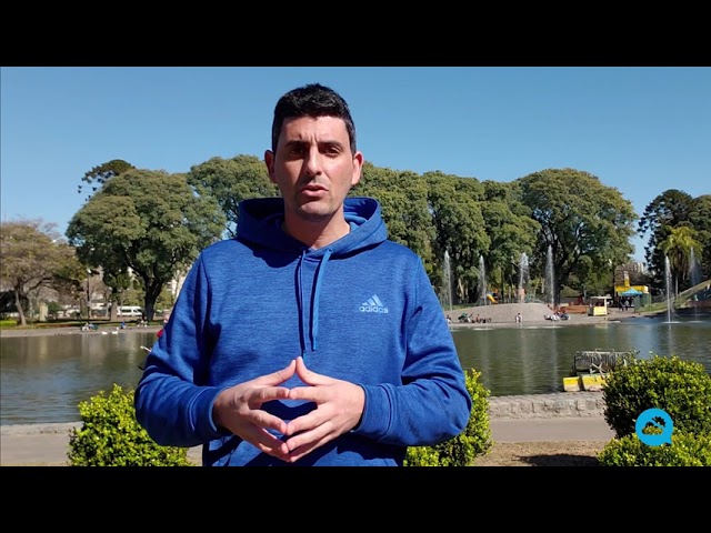 youtube video id=7rworF24sAA