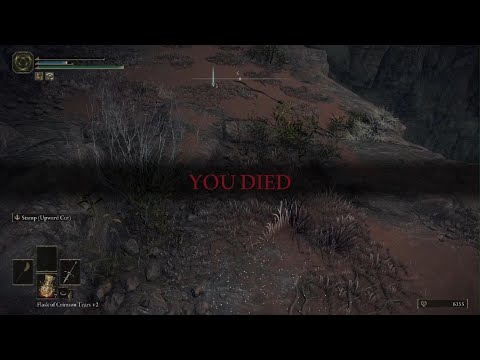 I got juked in Elden Ring :(