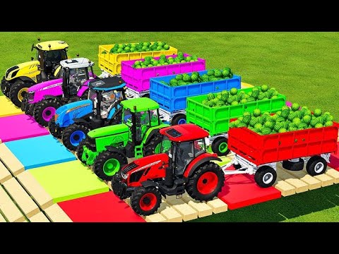 LOAD BLUEBERRIES & TRANSPORT BATTLE WITH JOHN DEERE, ZETOR, LANDINI & MCCORMICK TRACTORS