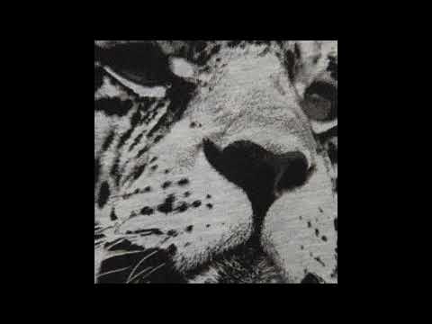 Eurodanek - Eden (Radio Puma Remix)