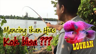 Download lagu MANCING IKAN LOUHAN || MANCING PALING ANEH DI DUNIA #Vlog32 mp3