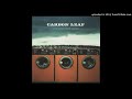 Carbon Leaf - Learn To Fly