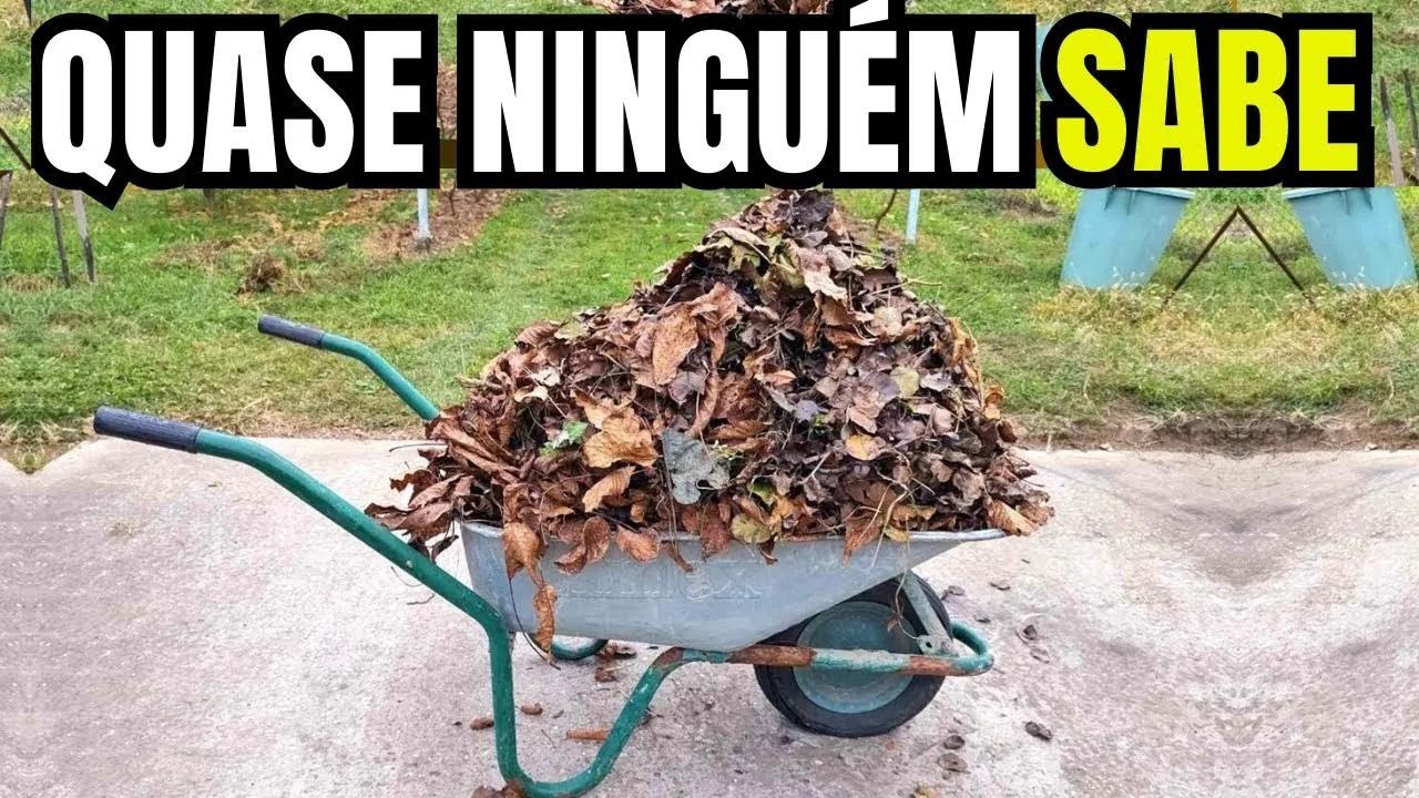VOCÊ NUNCA MAIS JOGARÁ Folhas Secas no Lixo depois de ver isso