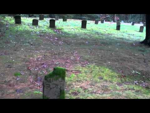 The Ladd School Video 2