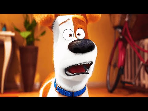 THE SECRET LIFE OF PETS Clip - "Max's New Brother" (2016)