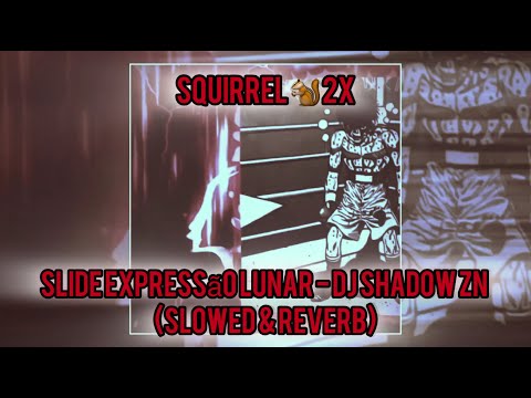 Slide Expressão Lunar - DJ Shadow ZN (Squirrel 5x)