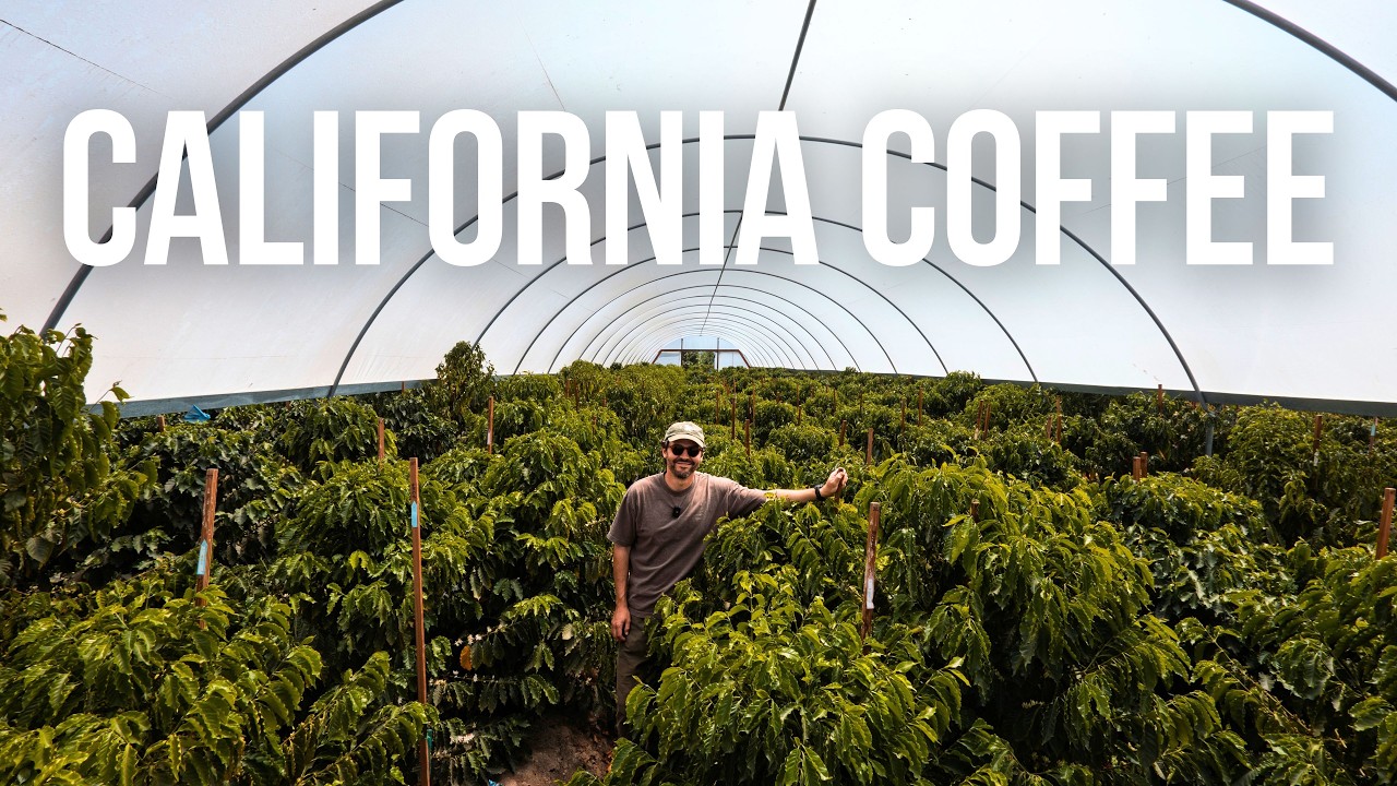 Coffee Grows in California?