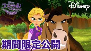 【期間限定無料公開】ラプンツェル ザ・シリーズ | 父と息子