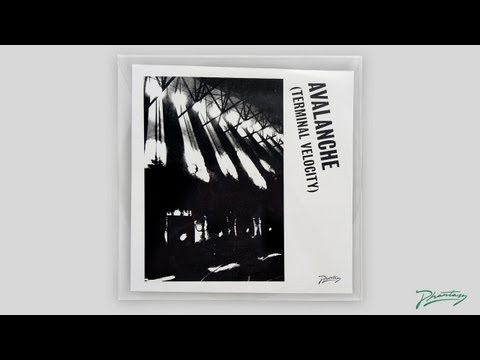 Boys Noize & Erol Alkan feat. Jarvis Cocker - Avalanche (Terminal Velocity) [PH14]