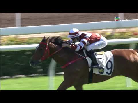 26/12/2020 (298) 好眼光 (D375) 莫雷拉