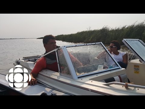 This River: Searching for Missing Loved Ones in the Red River | CBC