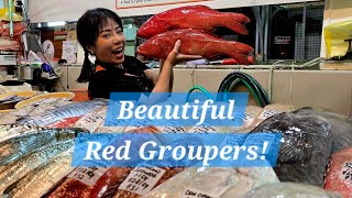 Beautiful Red Groupers! (25 Aug 2026 Tues)