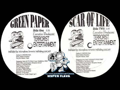 Microphone Terrorist - Green Paper / Scar Of Life (Full VLS) (1996)