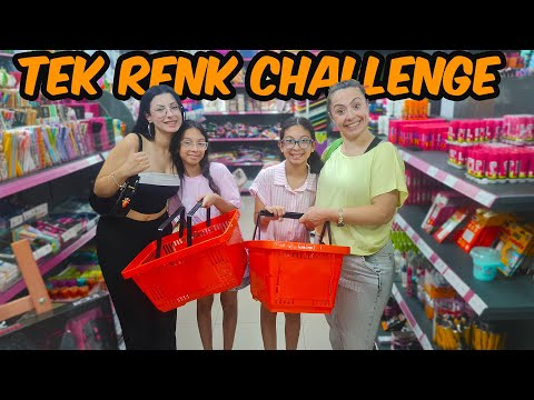 ÖDÜLLÜ TEK RENK KIRTASİYE ALIŞVERİŞİ CHALLENGE 🌈 | EYLÜL LAL