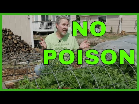 Organic Pest Control: The Future of Sustainable Gardening