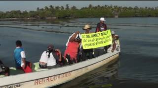 POBLADORES DE NUXCO HALLAN CADAVERES DE 10 TORTUGAS EN LA PLAYA