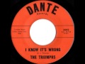 B.J. Thomas And The Triumphs - I Know It's Wrong