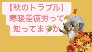 【秋のトラブル】寒暖差疲労って知ってますか feat.初音ミク #Shorts #vocaloid