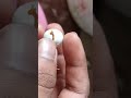Love Birds Egg Hatching Budgie New Bird Love