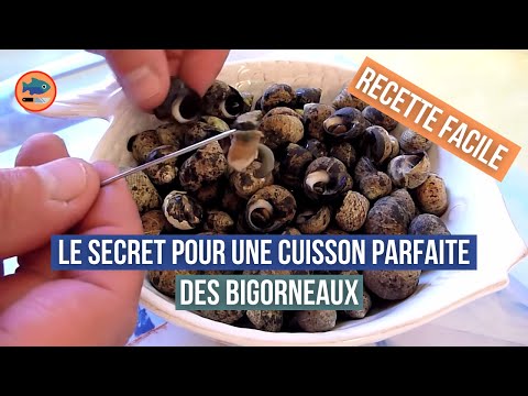 Cuisson des bigorneaux (recette facile)